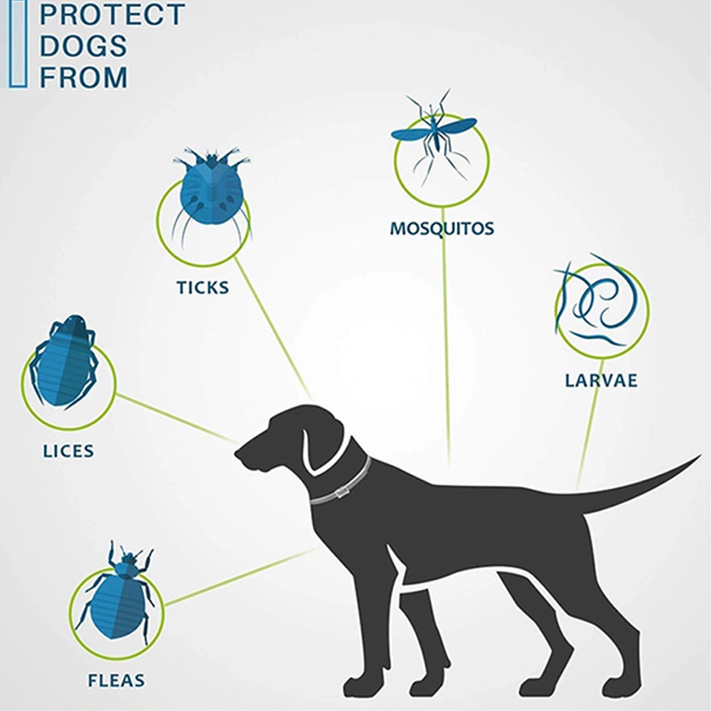 Dewel Dog Collar Anti Flea Ticks Mosquitoes