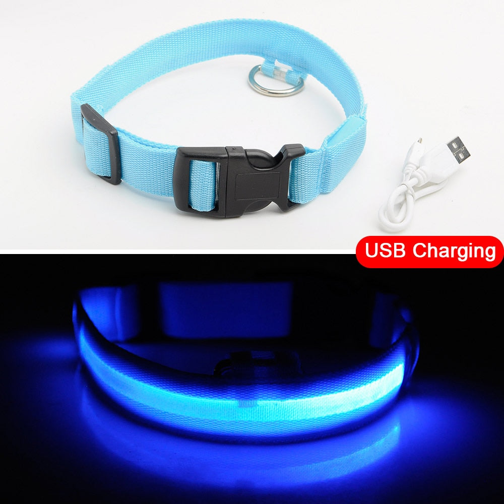 Rechargeable LED Dog Collar