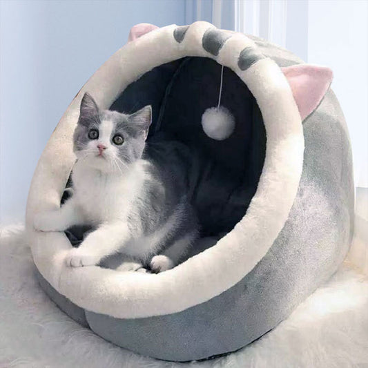 Cat Kennel
