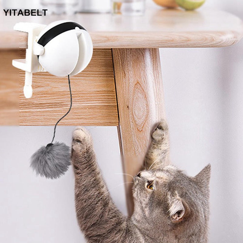 Funny cat electric yo-yo lifting ball