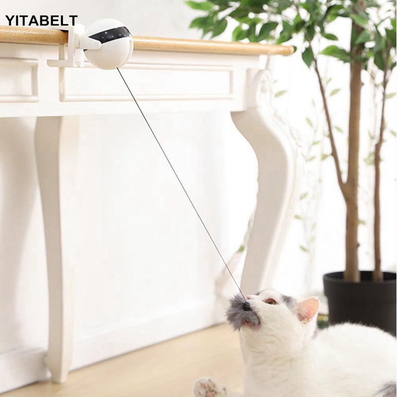 Funny cat electric yo-yo lifting ball