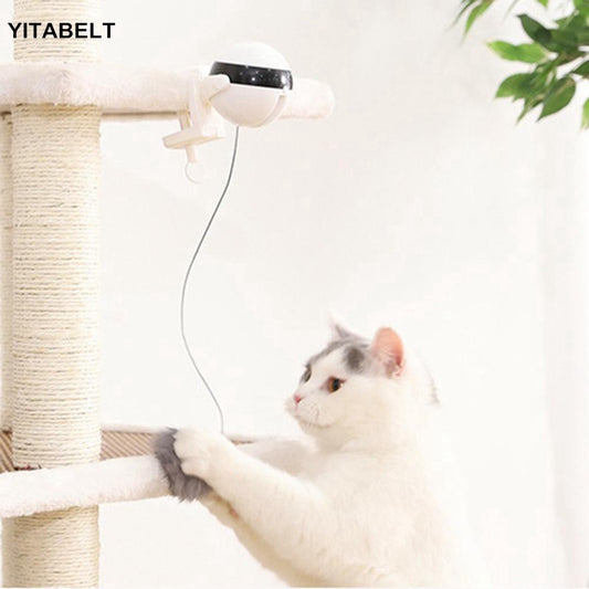 Funny cat electric yo-yo lifting ball