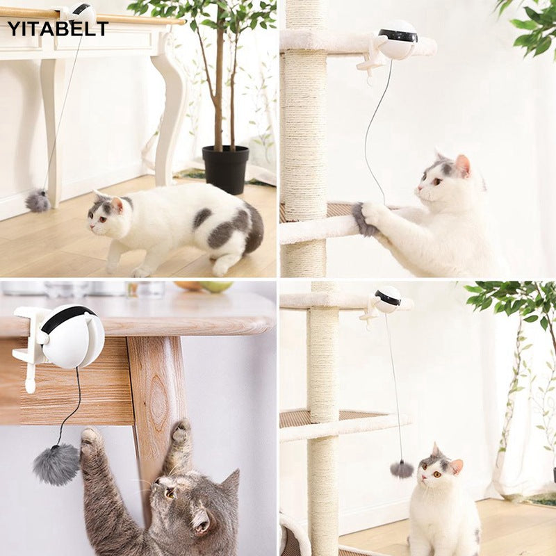 Funny cat electric yo-yo lifting ball