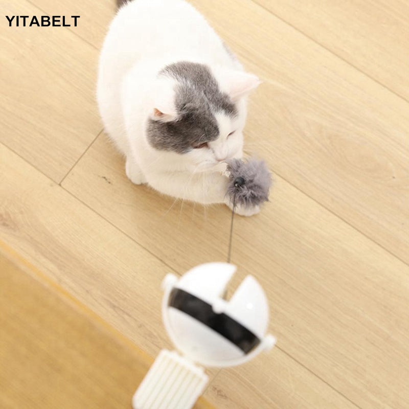 Funny cat electric yo-yo lifting ball